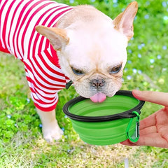Silicone Collapsible Travel Portable Dog Food Water Bowl