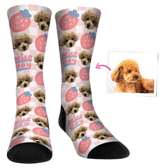 Customized Pets DIY Socks
