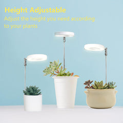 Halo LED Plant Light for Indoor Gardening Height Adjustable Timer & Dimmable