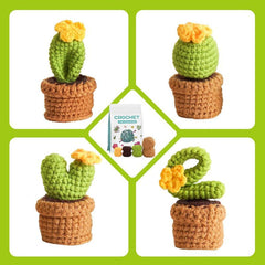 4-Pattern Crochet Plants Starter Kit Beginner-Friendly Set - Succulents Love