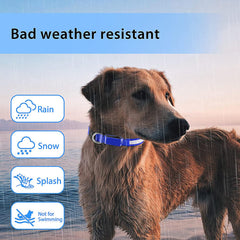 USB Rechargeable Light Up Dog Collars for Night Walking