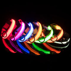 USB Rechargeable Light Up Dog Collars for Night Walking
