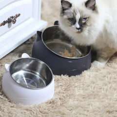 Stainless Steel Cat Dish Pet Supplies Dog Bowls Pet Supplies Slanted Food Bowl