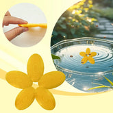 Outdoor Bee Water Plate Support Pollinator Health with Safe Drinking Platform