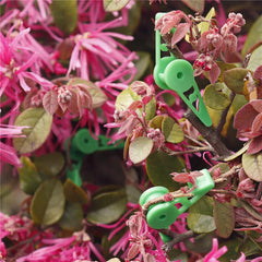 Adjustable 360 Degree Plant Stem Training Clips