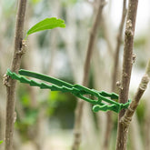 Adjustable Flexible Green Plant Ties Multi-Function Sturdy Garden Twist Tie