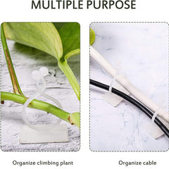 10 Pcs Invisible Wall Vines Fixture Wall Sticky Hooks