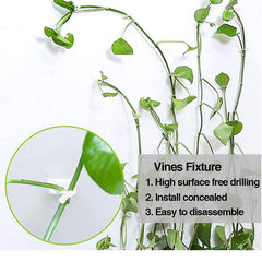 10 Pcs Invisible Wall Vines Fixture Wall Sticky Hooks