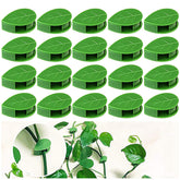 20 PCS Plant Climbing Wall Fixture Clips Invisible Self-Adhesive Hook