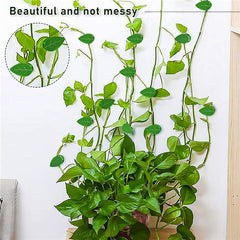 20 PCS Plant Climbing Wall Fixture Clips Invisible Self-Adhesive Hook
