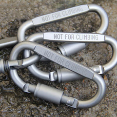6pcs/lot Carabiner Travel Kit Camping Equipment Alloy Aluminum Survival Gear