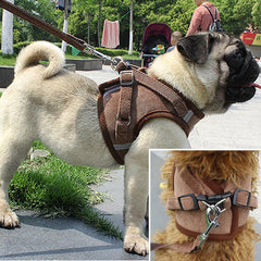 Adjustable Corduroy Mesh Warm Walking Dog Cat Harness Vest with Leash