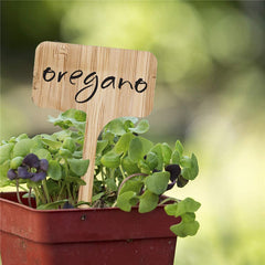 50 Pcs Bamboo Plant Labels