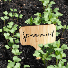 50 Pcs Bamboo Plant Labels