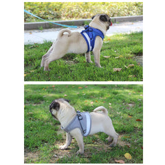 Breathable Mesh Reflective Walking Vest Dog Lead Leash & Harness