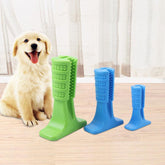 Dog Toothbrush Stick Chew Toys Dental Cleaning Massager