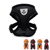 Mesh Harness with Padded Vest for Puppy and Cats