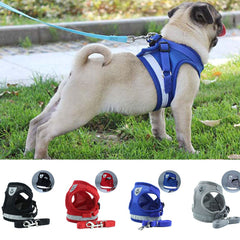 Breathable Mesh Reflective Walking Vest Dog Lead Leash & Harness