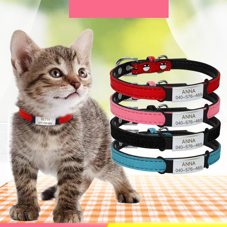 Collar with name and phone clearance number