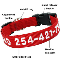 Personalized Dog Collars Embroidered with Pet Name and Phone Number