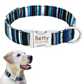 Personalized Nylon Print Dog Cat Puppy Tag Collar Engrave Nameplate ID