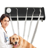 5 Pcs/set Pet Dog Cat Dental Stainless Steel Teeth Cleaning Tools Kit