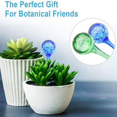 Indoor/Outdoor Plant Self-Watering Globes
