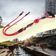 Double Dog Leash for Walking 2 Dogs