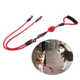 Double Dog Leash for Walking 2 Dogs
