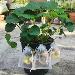 10pcs Reusable Garden Plant Fruit Protection Covers Mesh Netting Bag