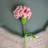 Knitted Carnation Flowers Crochet Flower Gift