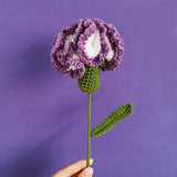 Knitted Carnation Flowers Crochet Flower Gift - Beginner Crochet Kit