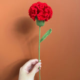 Knitted Carnation Flowers Crochet Flower Gift - Beginner Crochet Kit