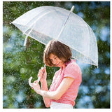 Clear Stylish Bubble Umbrella Windproof Transparent With J Handle