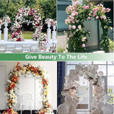 Elegant Metal Garden Arch - Perfect For Climbing Plants, Vines & Roses