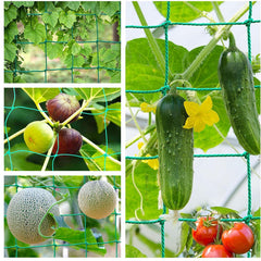 Garden Trellis Net Netting for Climbing Plants Outdoor 2 Pack