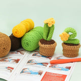 4-Pattern Crochet Plants Starter Kit Beginner-Friendly Set - Succulents Love