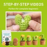 4-Pattern Crochet Plants Starter Kit Beginner-Friendly Set - Succulents Love