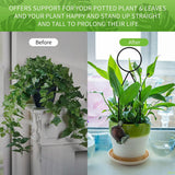 4 Pcs Metal Indoor Plants Trellis Set