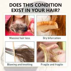 Nutrient Solution Care Products Ginger Hair Growth Oil Natural Essential