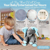 Peek-A-Boo Interactive Sing and Play Plush Stuffed Toys