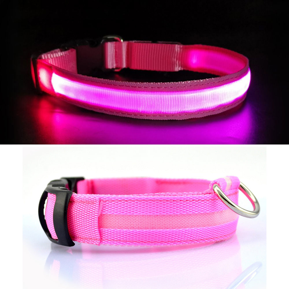 USB Rechargeable Light Up Dog Collars for Night Walking