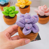 5-Pattern Cute Succulent Plants Crochet Starter Kit - Complete Set in Gift Box