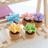 5-Pattern Cute Succulent Plants Crochet Starter Kit - Complete Set in Gift Box