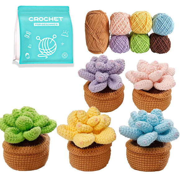 5-Pattern Cute Succulent Plants Crochet Starter Kit - Complete Set in Gift Box