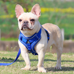 No Pull Front Clip Dog Harness and Lead Reflective Mesh Cat Puppy Walking Vest