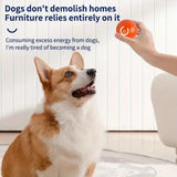 Smart Interactive Dog Toy LED Light Bouncing Active Rolling Ball