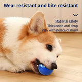 Smart Interactive Dog Toy LED Light Bouncing Active Rolling Ball