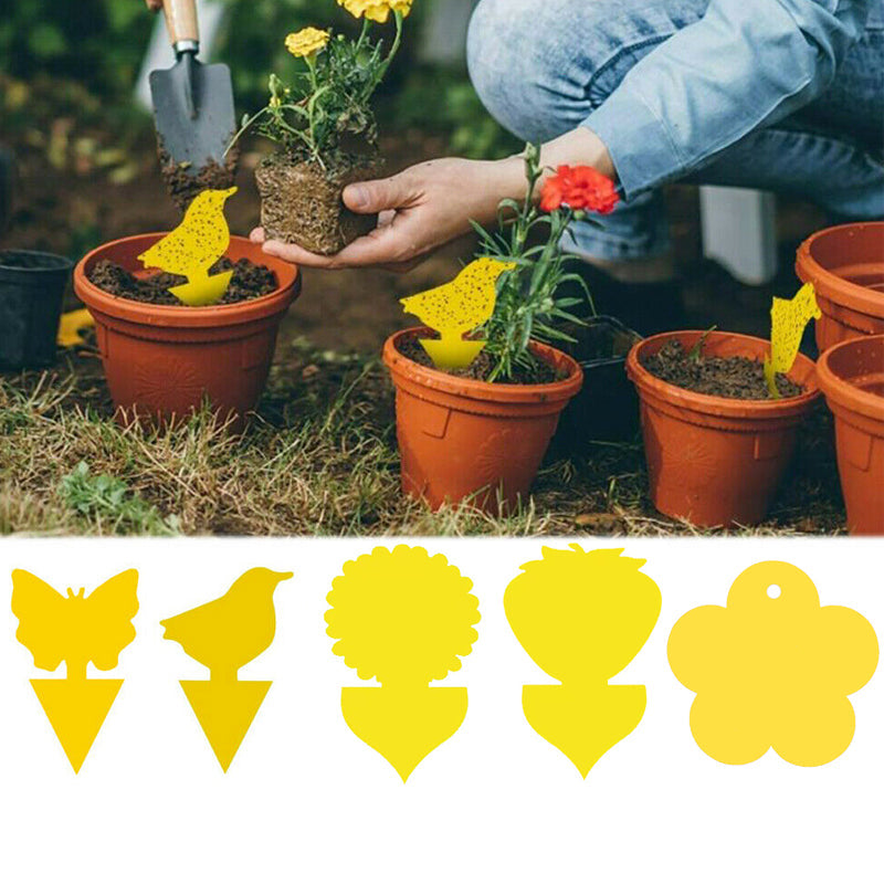 20Pcs/set Flower Sticky Trap Insect Killers with Holders