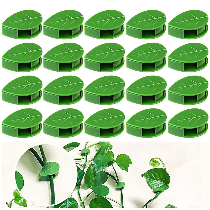 20 PCS Plant Climbing Wall Fixture Clips Invisible Self-Adhesive Hook